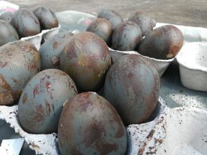 painted dummy eggs
