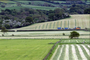 Silage making